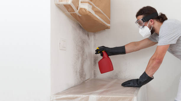 Professional Bathroom Mold Removal technician working in Hamilton, TX